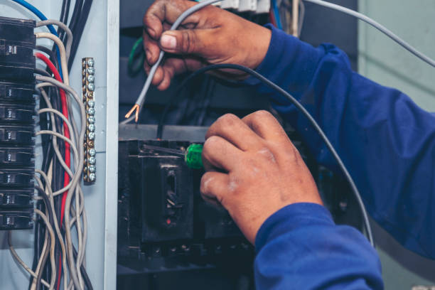 Best Licensed Electrician  in Key Vista, FL
